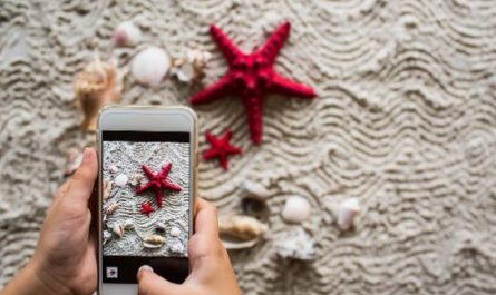 8 symbolic meanings of dreaming of starfish
