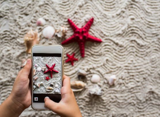8 symbolic meanings of dreaming of starfish