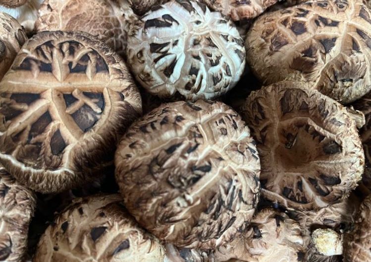 7 symbolic meanings of dreaming of shiitake mushrooms