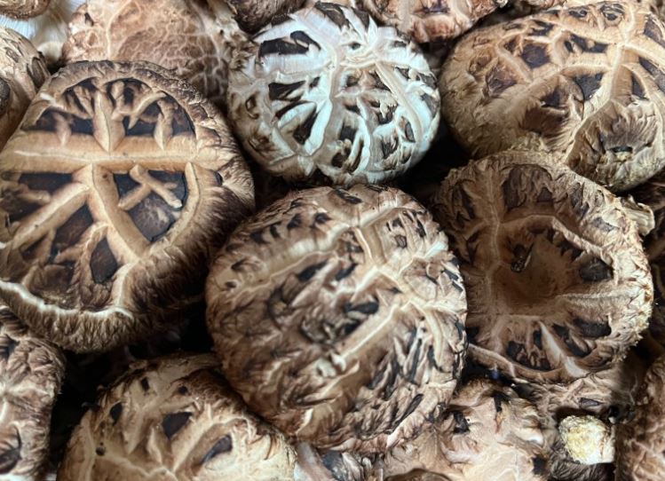 7 symbolic meanings of dreaming of shiitake mushrooms