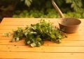 7 symbolic meanings of dreaming of coriander