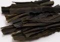 6 symbolic meanings of dreaming of kelp
