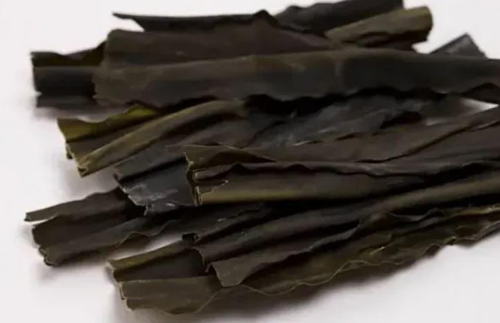 6 symbolic meanings of dreaming of kelp