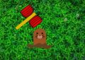 8 symbolic meanings of dreaming of moles