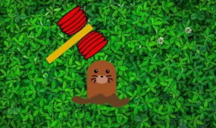 8 symbolic meanings of dreaming of moles