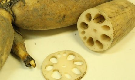 7 symbolic meanings of dreaming of lotus roots