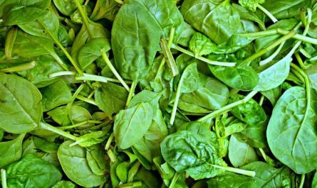 8 symbolic meanings of dreaming of spinach