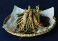 8 symbolic meanings of dreaming of ginseng