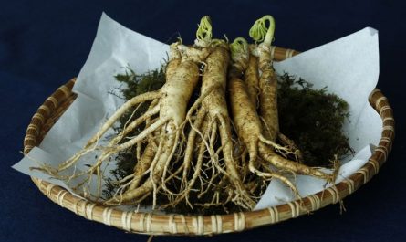 8 symbolic meanings of dreaming of ginseng