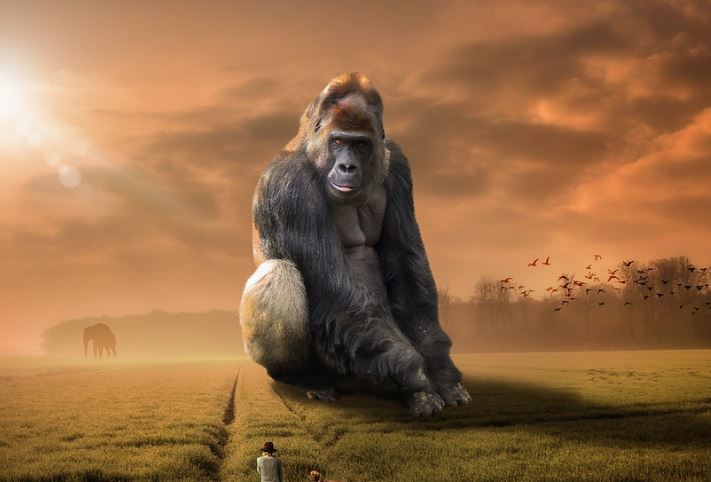 9 symbolic meanings of dreaming of gorillas