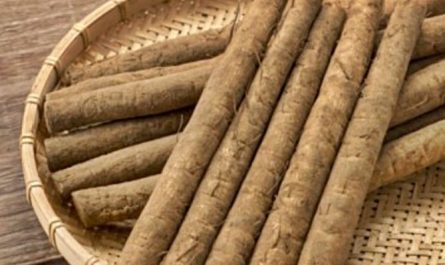 6 symbolic meanings of dreaming of burdock