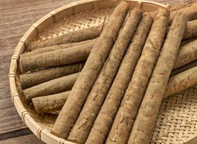 6 symbolic meanings of dreaming of burdock