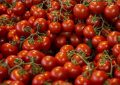 8 symbolic meanings of dreaming of cherry tomatoes