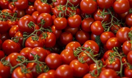 8 symbolic meanings of dreaming of cherry tomatoes