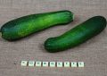 8 symbolic meanings of dreaming of zucchini
