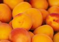 8 symbolic meanings of dreaming of apricots