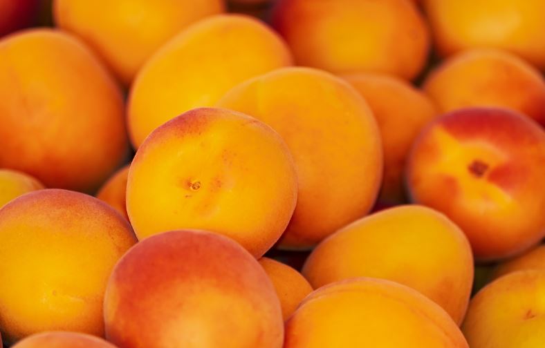 8 symbolic meanings of dreaming of apricots