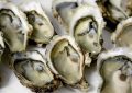 7 symbolic meanings of dreaming of oysters