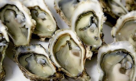 7 symbolic meanings of dreaming of oysters
