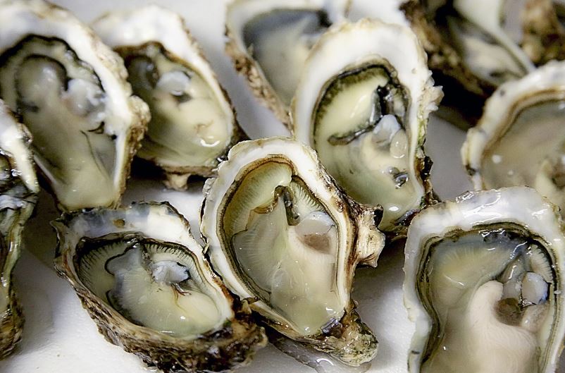 7 symbolic meanings of dreaming of oysters