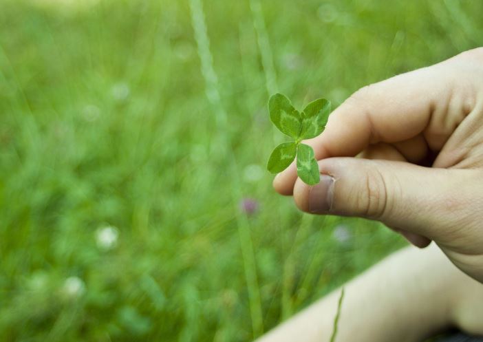 7 Symbolic Meanings of Dreaming of four-leaf clover