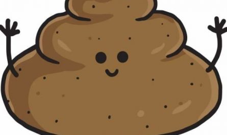 32 symbolic meanings of dreaming of feces