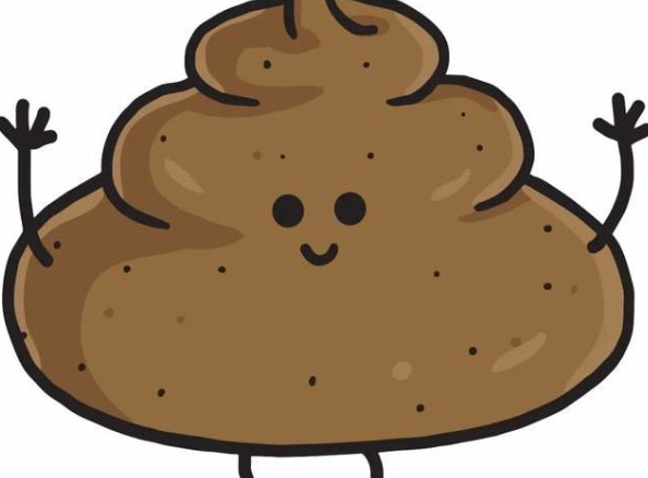 32 symbolic meanings of dreaming of feces