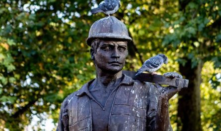 7 symbolic meanings of dreaming of being hit by bird droppings