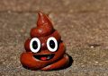 6 symbolic meanings of dreaming of touching feces