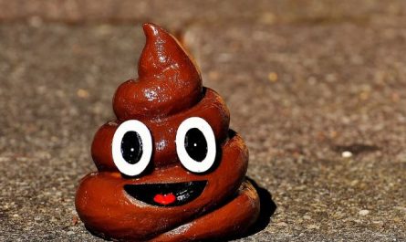 6 symbolic meanings of dreaming of touching feces