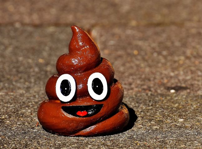 6 symbolic meanings of dreaming of touching feces