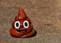 7 symbolic meanings of dreaming of feces