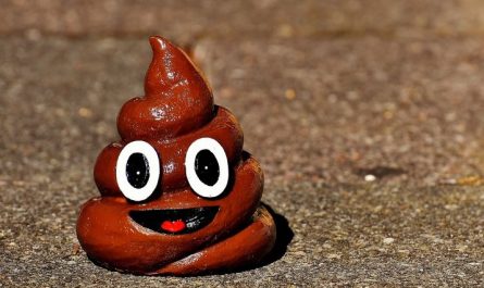 7 symbolic meanings of dreaming of feces