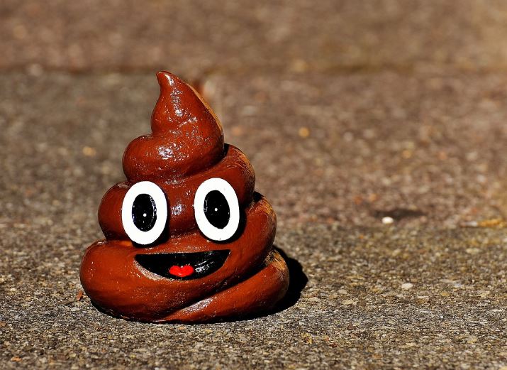 7 symbolic meanings of dreaming of feces