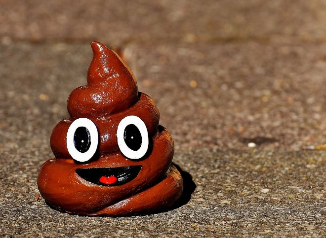 7 symbolic meanings of dreaming of feces on clothes
