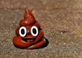 7 symbolic meanings of dreaming of stepping on feces
