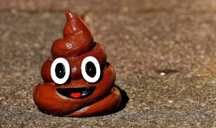 7 symbolic meanings of dreaming of stepping on feces