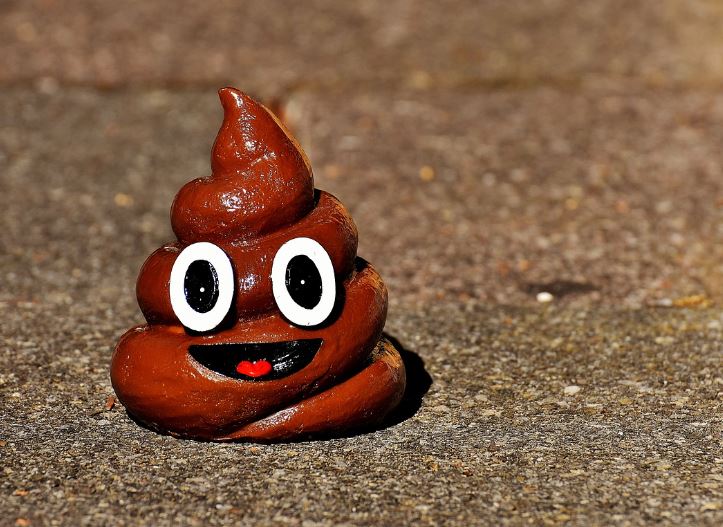 7 symbolic meanings of dreaming of stepping on feces