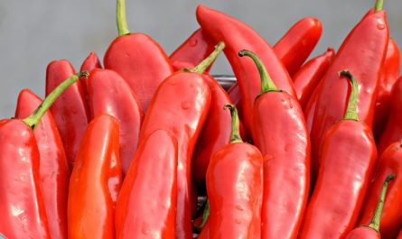 7 symbolic meanings of dreaming of red peppers