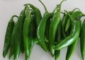 7 symbolic meanings of dreaming of green peppers