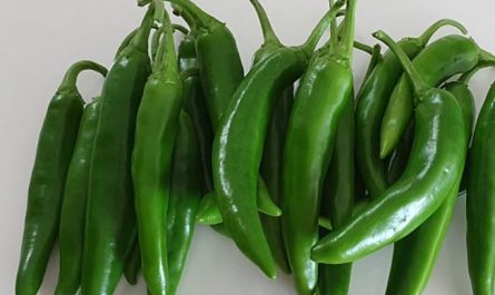 7 symbolic meanings of dreaming of green peppers