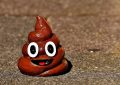 7 symbolic meanings of dreaming about pooping