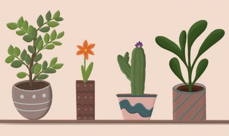 7 symbolic meanings of dreaming of flower pots