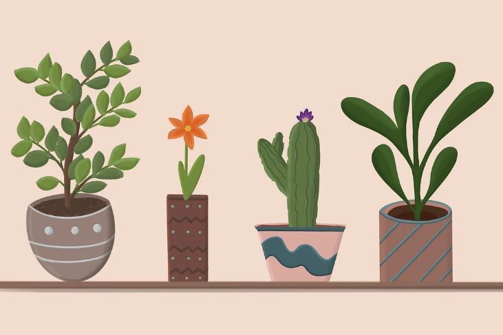 7 symbolic meanings of dreaming of flower pots