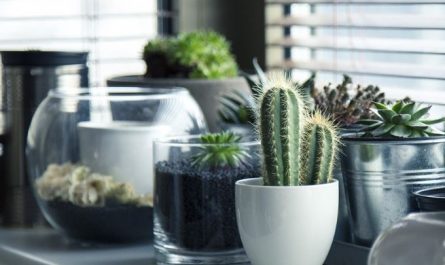 6 symbolic meanings of dreaming of broken flower pots
