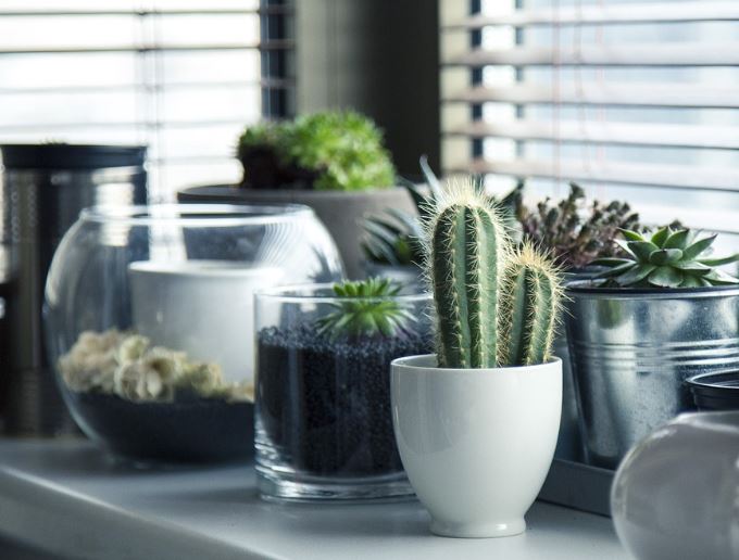 6 symbolic meanings of dreaming of broken flower pots