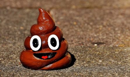7 symbolic meanings of dreaming of stepping on dog poop