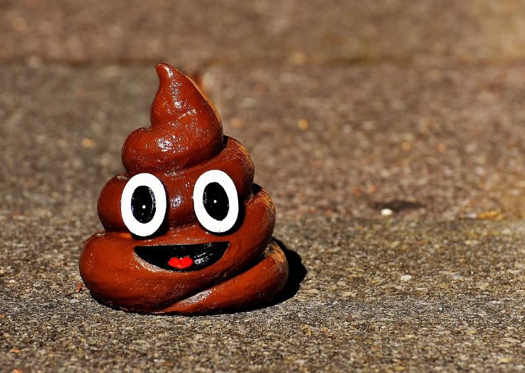 7 symbolic meanings of dreaming of stepping on dog poop