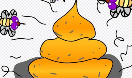 6 symbolic meanings of dreaming of yellow stool
