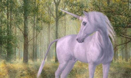 8 symbolic meanings of dreaming of unicorns